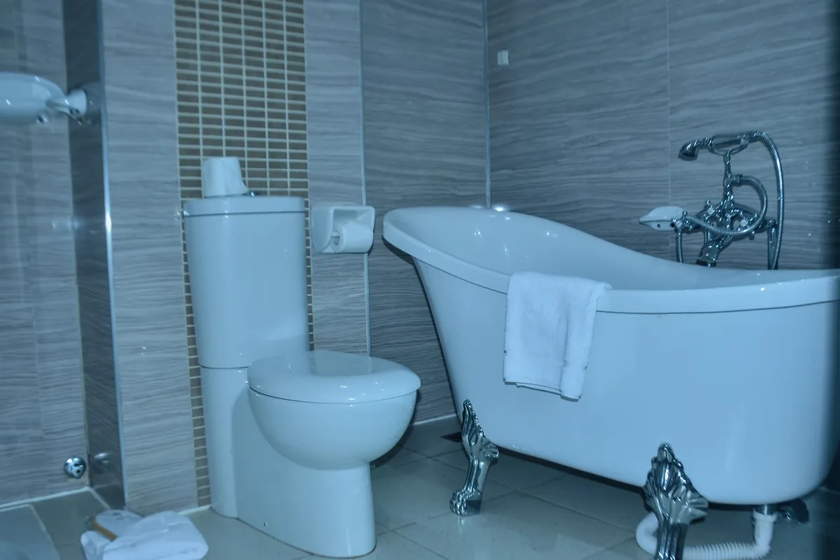 Salle de bain, baignoire patte de lion, toilette, carrelage gris